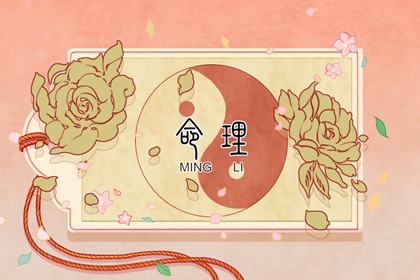 今日万年历查询 老黄历万年历农历查询 2026万年历日历表